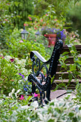 Bench in cottage garden