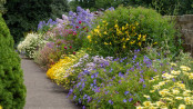 Perennial border at Borde Hill Gardens designed by Chris Beardshaw