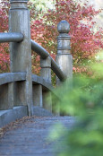 Bridge at the Japanese Garden in Wroclaw