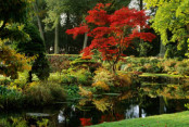 Chateau de Courance in the autumn