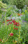 Colourful cottage garden