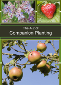 Companion Planting