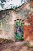 Beautiful Light on a garden wall