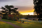 Forest Mere at Dawn