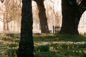 Frosty Spring Morning