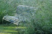 Garden Bench