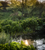 Stockton Bury gardens