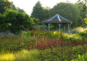 Piet Oudolf's Millenium Garden at Sunrise