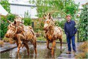 Joe Swift at Gardener's World Live 2019