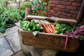 The watchmaker's garden allotment