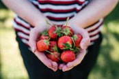 Grow your own, pick your own