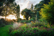 Last light on an August evening