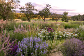 Garden with a view of the countryside
