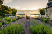 Greenhouse on fire, Suffolk