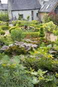 Warton Cottage - NGS Garden