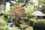 The Japanese garden, Tatton Park, Cheshire