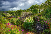 After the Rain