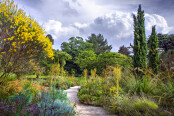 Mediterranean Moments at CUBG