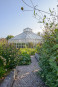 Glasshouse in the Global Growth Vegetable Garden