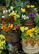 Scented Chimney Pot Trio