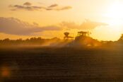 Seed sowing at sunset