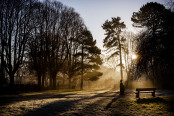 Sunrise in the Sensory Garden