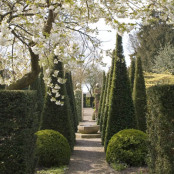 Spring blossom at Wollerton Old Hall Gardens