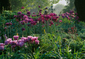 SPRING BORDER AT PETTIFERS, OXFORDSHIRE