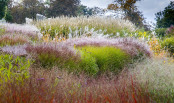 The Sea of Grasses