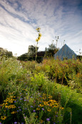A Prairie
