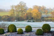 Wintery Morning - Benington Lordship