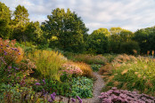 Prairie planting at sunrise