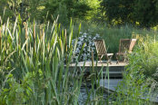 Wooden chairs by the water