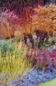 You wanted colour?