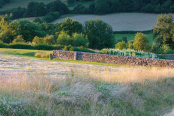 Countryside Garden