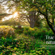 True to Nature