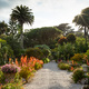 Tresco Abbey Gardens