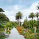 Tresco Abbey Gardens