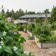 Allotment