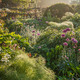 Through The Garden