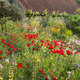 Great_Dixter_Nicky_Flint_1