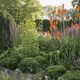 Midsummer Colour