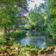 The Painterly Garden