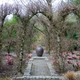 Spring at Heronswood