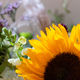 Flower Arrangement