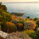 September Light in the Sea Garden