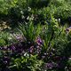 Spring Gems