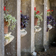 Within The Arches