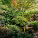 Forty shades of green
