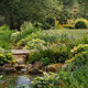 The dreamy rill